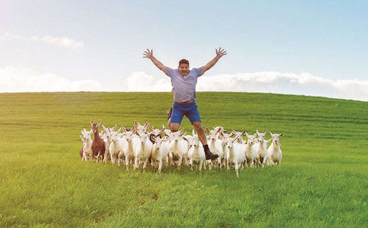 Happy, healthy goats treated like pets on award winning farm