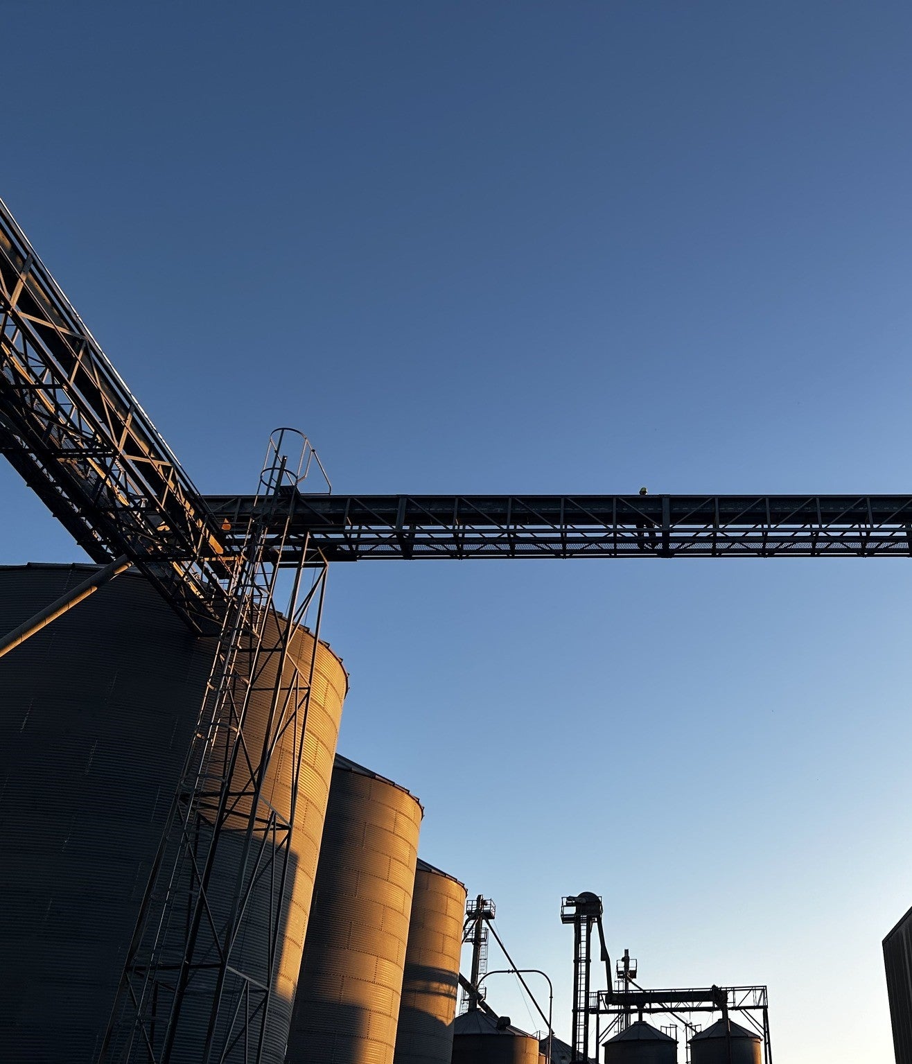 Grain_silos_in_the_sun.jpg