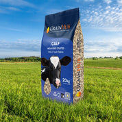 GrainHub Calf