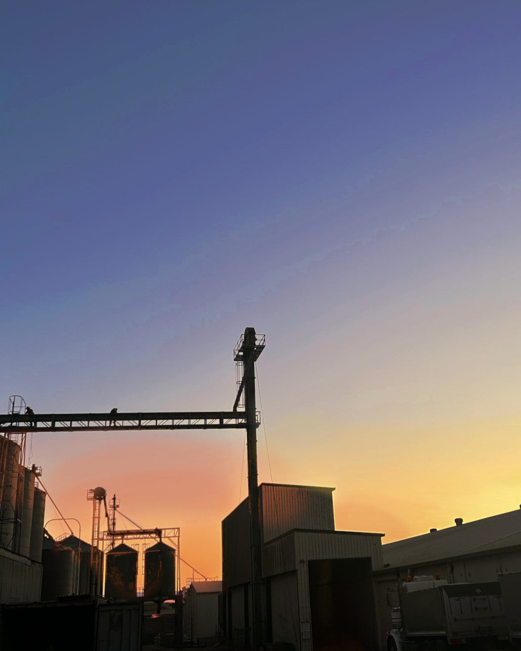 GrainHub_Tuakau_at_sunset.jpg