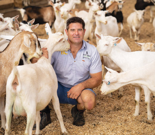 goat-farm-nz.jpg
