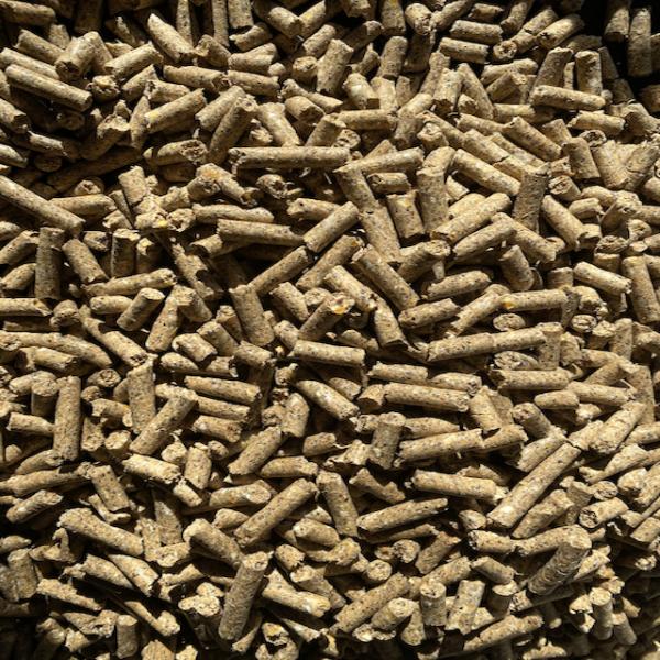 grainhub-tri-starch-pellet.jpg