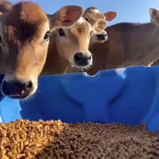 GrainHub Calf